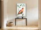 Scarlet Lory on Branch animal canvas print on the wall of a hallway