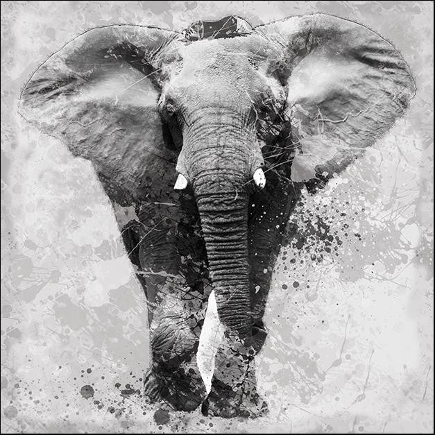 Proud Elephant Wall Art Print