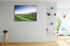 Queensland Lavender Farm Wall Art Print on the wall