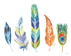 Rainbow Feathers III Wall Art Print
