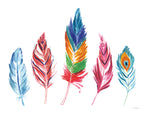 Rainbow Feathers IV Wall Art Print