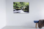 Rainforest Queensland Australia Wall Print on the wall