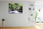 Rainforest Queensland Australia Wall Print on the wall