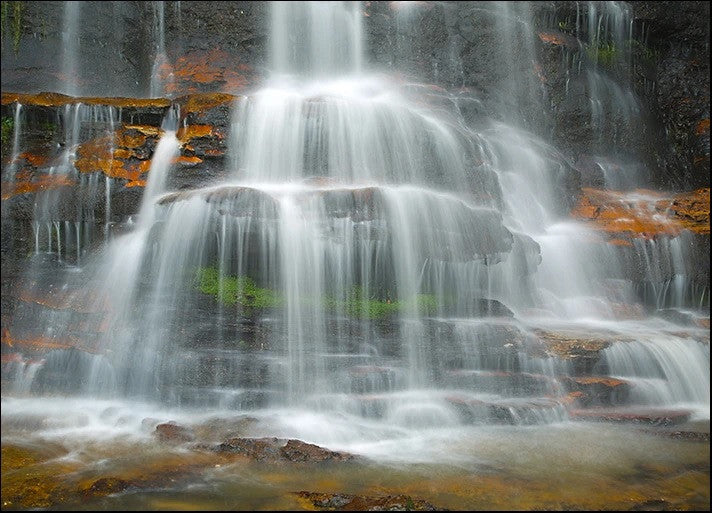 Rainforest Waterfall Wall Art Print