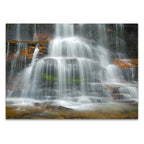 Rainforest Waterfall Wall Art Print