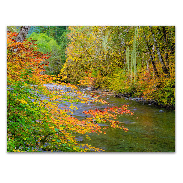 River IV Wall Art Print 