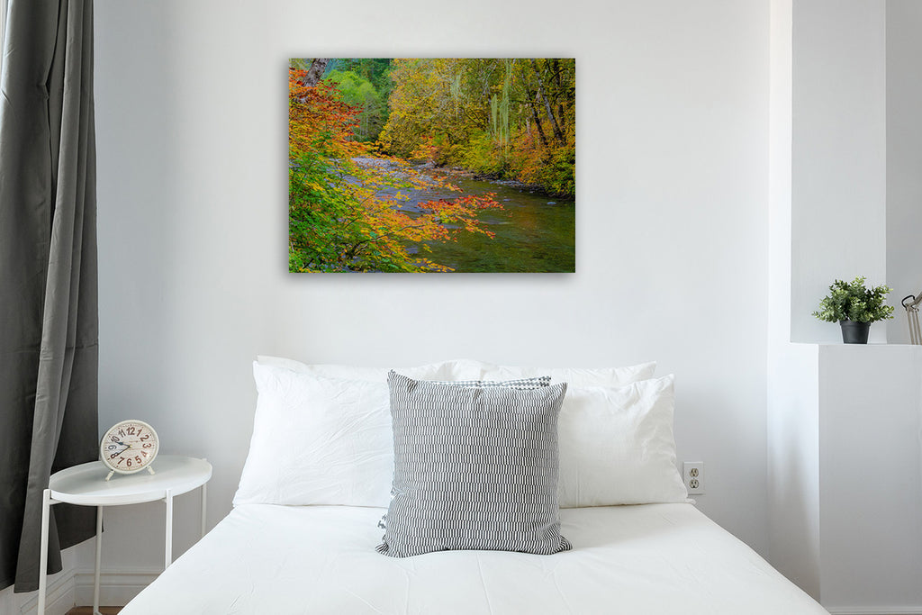 River IV Wall Art Print on the wall