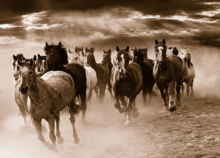 Running Horses Wall Art Print