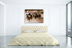 Running Horses Wall Art Print on the wall