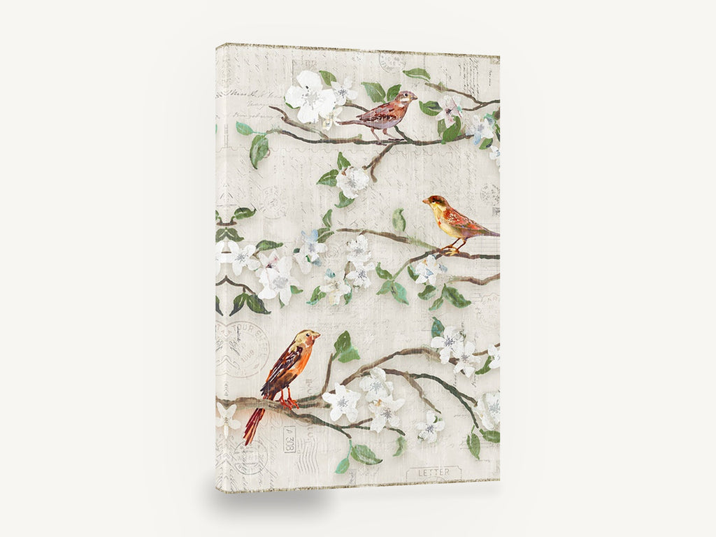 Postmark Blossom Songbirds, birds on blossom branches vintage postcard, floral canvas wall art print ready to hang