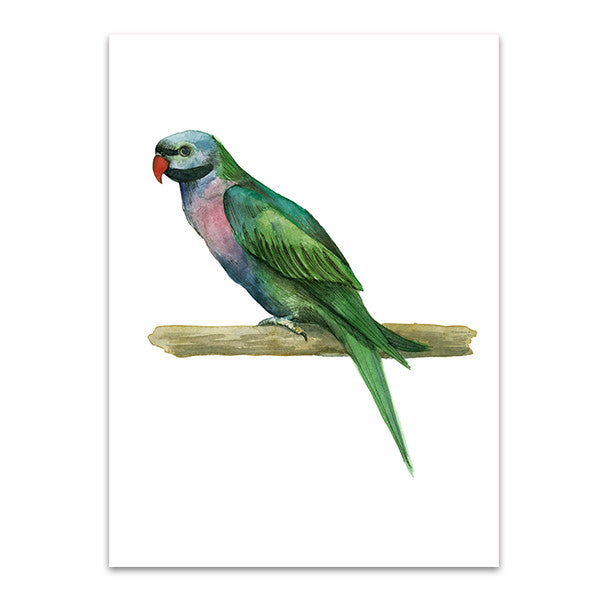 Bird IV Wall Art Print