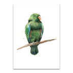 Bird III Wall Art Print