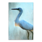 Blue Wall Art Print 