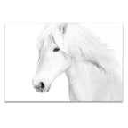 Classic White Wall Art Print