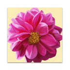 Flower Art IV Wall Art Print