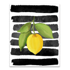 Fresh II Wall Art Print