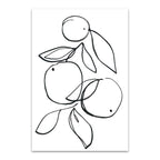 Fruit Contour Oranges Wall Art Print