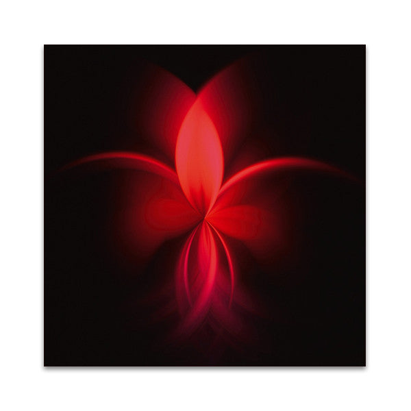 Fuchsie Wall Art Print