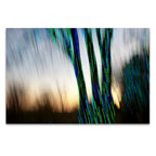 Lig Wall Art Print