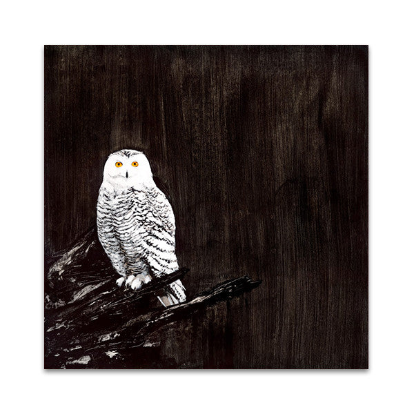 Owl Wall Art Print