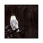 Owl Wall Art Print
