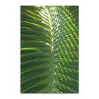 Palm Detail I Wall Art Print