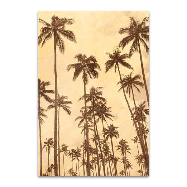 Palm Vista VI Wall Art Print