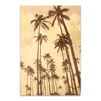 Palm Vista V Wall Art Print