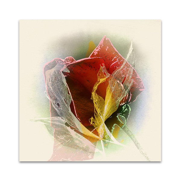 Rose Wall Art Print