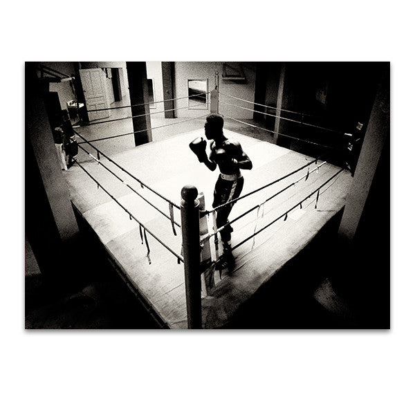 Shadow Boxer Wall Art Print
