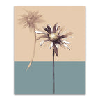 Simplicity II Wall Art Print 
