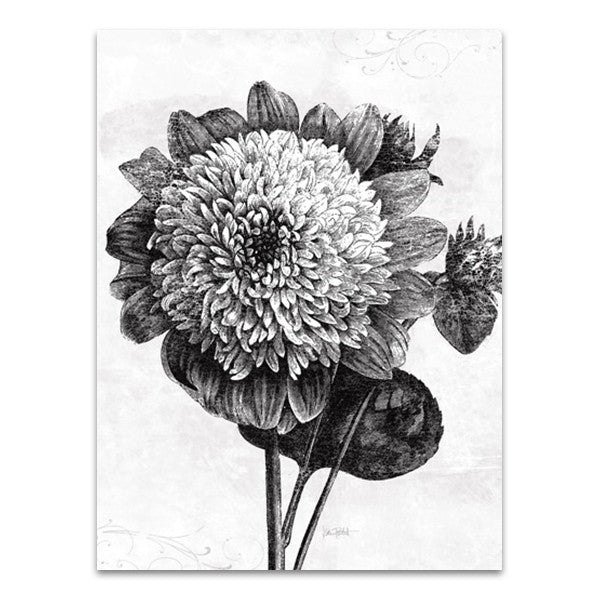 Spa Botanical II BW Wall Art Print