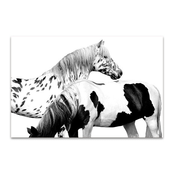 Spotted and Pinto Wall Art Print