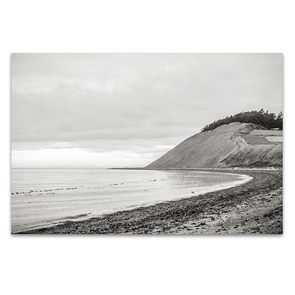 Whidbey Island Wall Art Print