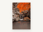 Orange Maple Waterfall, floral canvas wall art print, front view