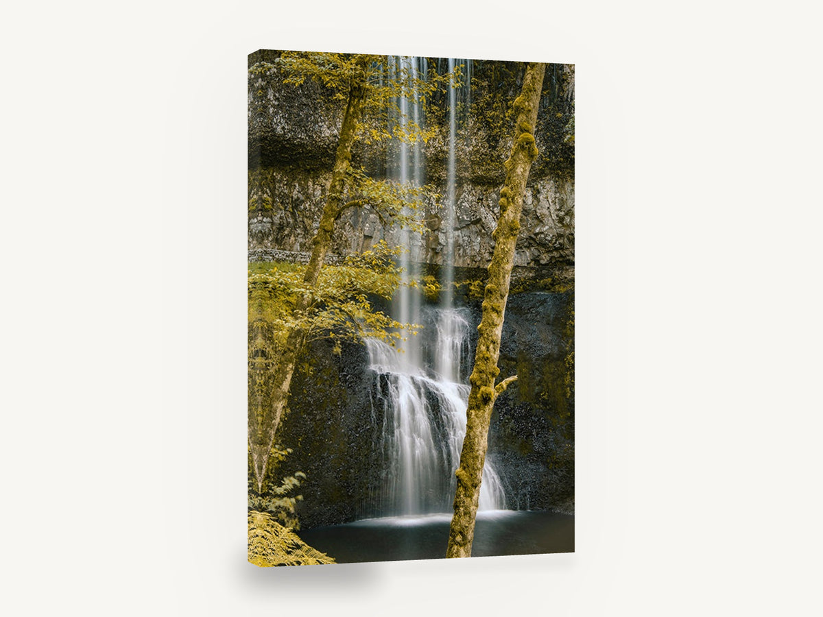Mossy Falls Gold, waterfall mossy trees autumn photograph, floral canvas wall art print ready to hang