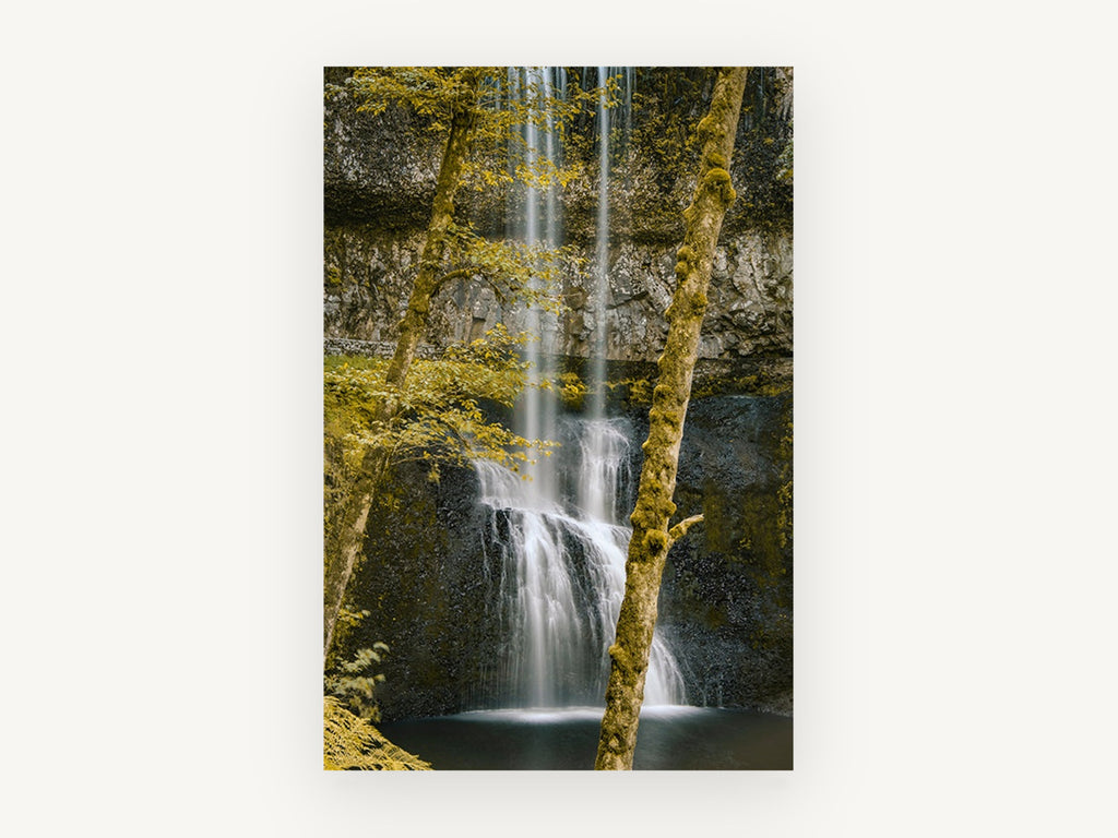 Mossy Falls Gold, floral canvas wall art print, front view