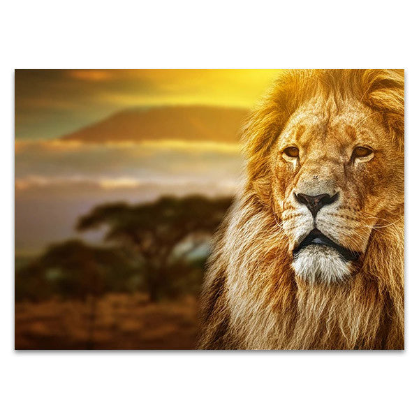 Savanna Lion Wall Art Print 