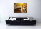 Savanna Lion Wall Art Print on the wall