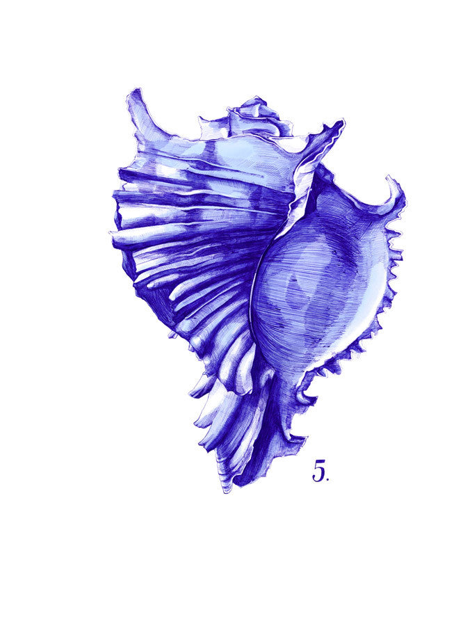 Sea Life in Pen V Wall Art Print
