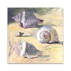 Seashells I Wall Art Print