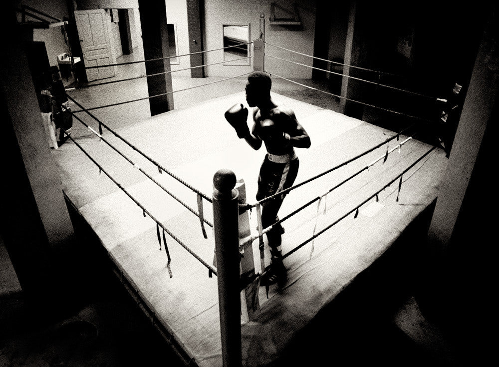 Shadow Boxer Wall Art Print