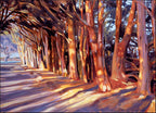 Shadows on the Road Wall Art Print