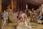 Roberts | Shearing the Rams