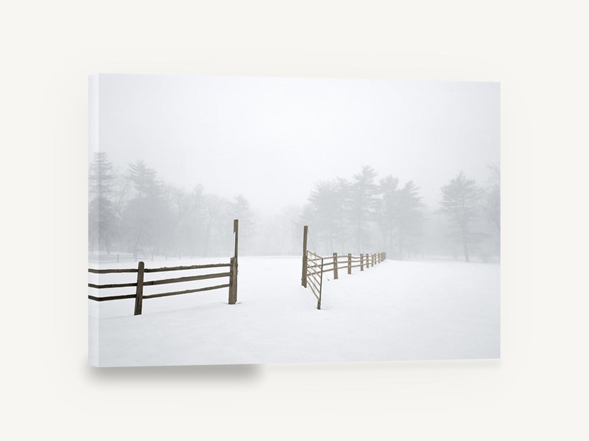 Open Gate in Fog, snowy paddock fence fog photograph, landscape canvas wall art print ready to hang