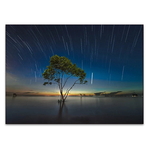 Shooting Stars Wall Art Print