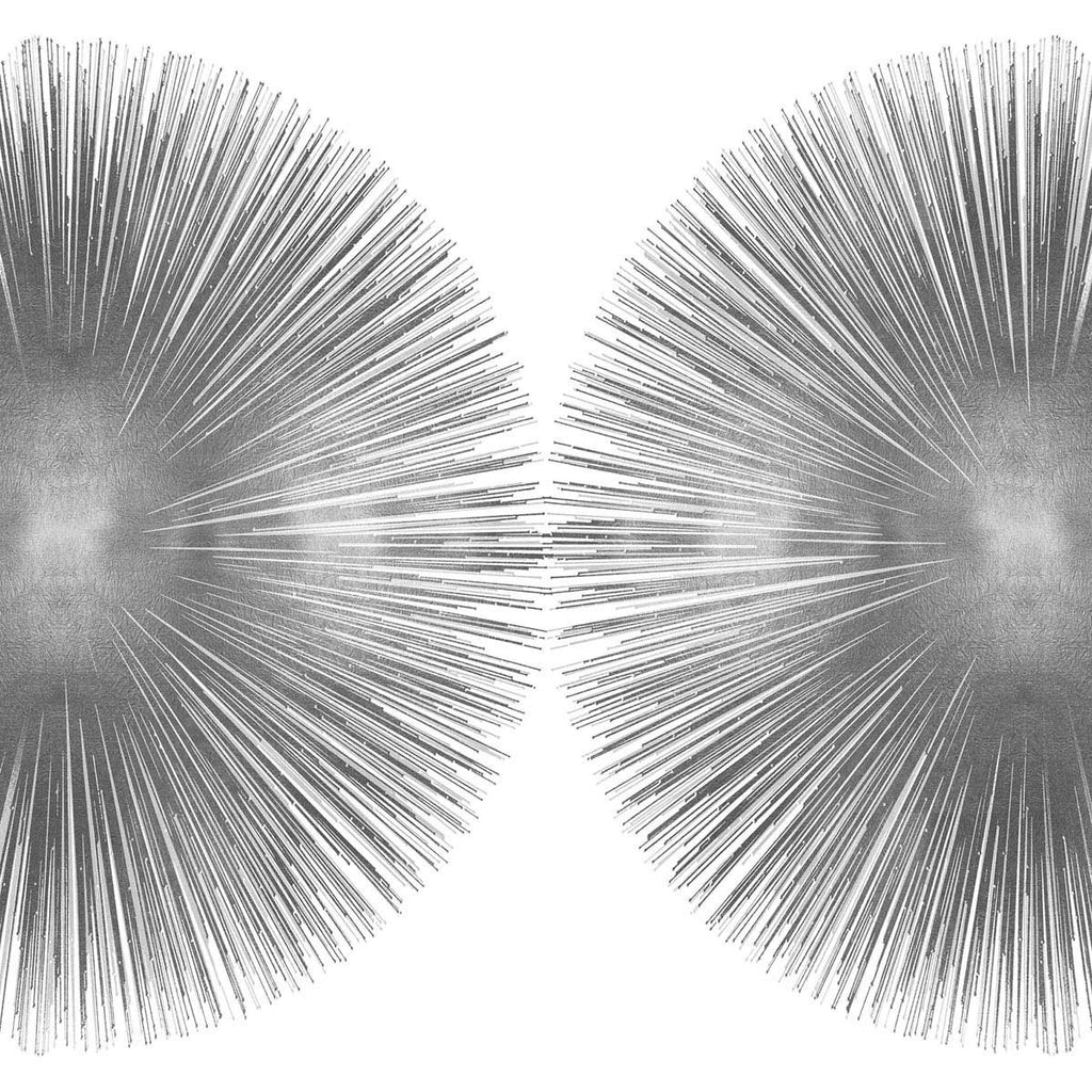 Silver Sunburst II Wall Art Print