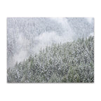 Snowy Trees Wall Art Print