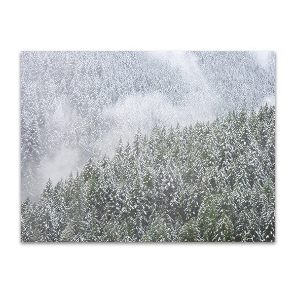 Snowy Trees Wall Art Print
