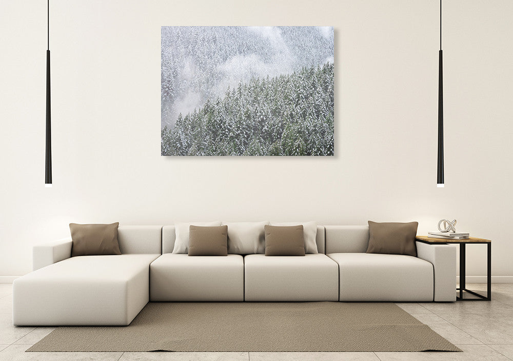 Snowy Trees Wall Art Print on the wall